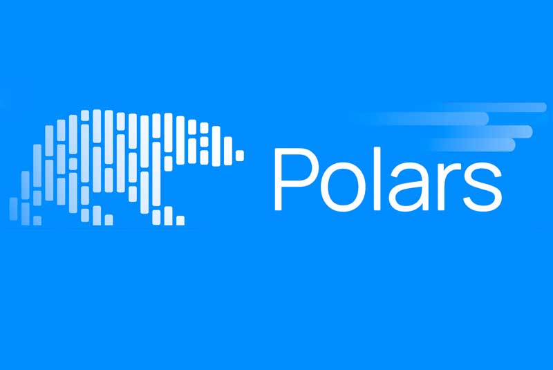 Polars 数据的信息